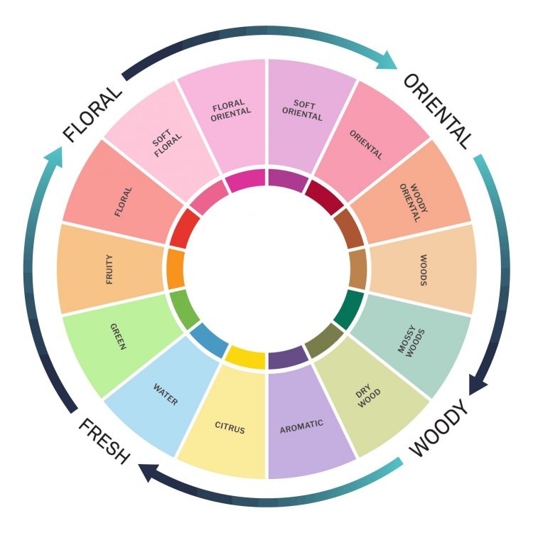 The Fragrance Wheel Guide: From Traditional to Modern fragrance wheel
