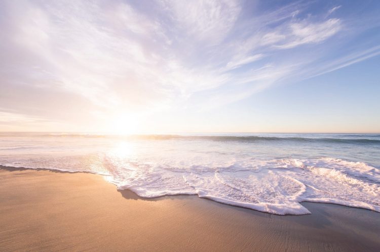 The Fragrance Wheel Guide: From Traditional to Modern beach scene