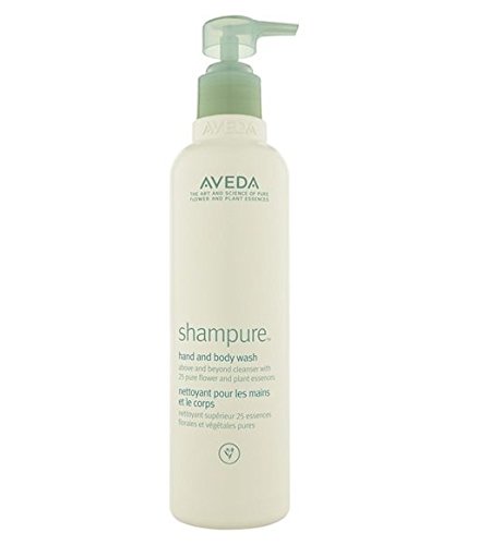 The 10 Best-Smelling Men’s Body Washes Aveda Shampure Hand and Body Wash