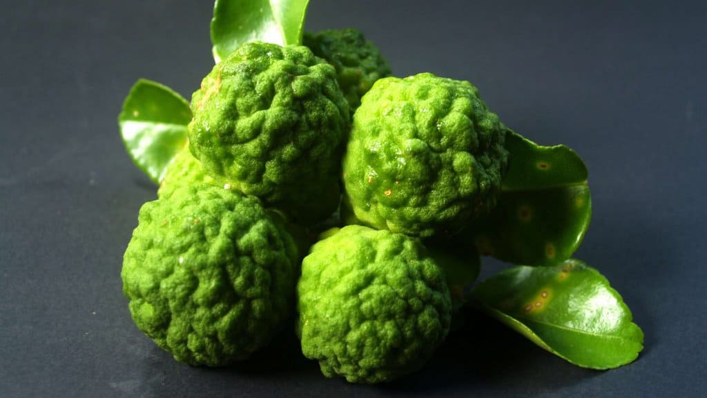 What Does Bergamot Smell Like? Bergamot Featured Image