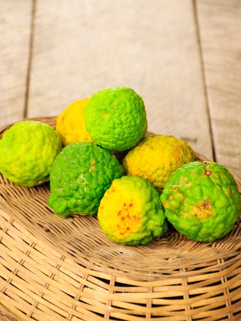 What Does Bergamot Smell Like? Everfumed Fragrance Shop