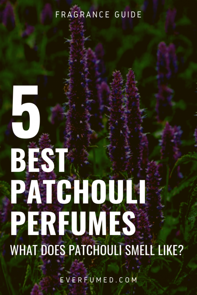 What Does Patchouli Smell Like? (+ 5 Best Patchouli Perfumes