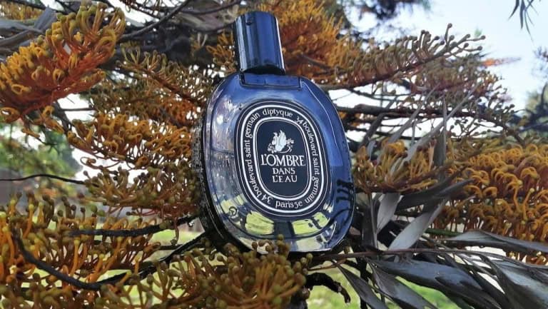Best Diptyque Fragrances