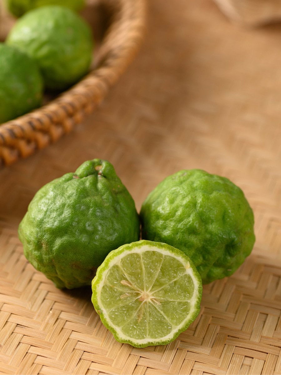 What Does Versace Dylan Blue Smell Like? bergamot: what does versace dylan blue smell like