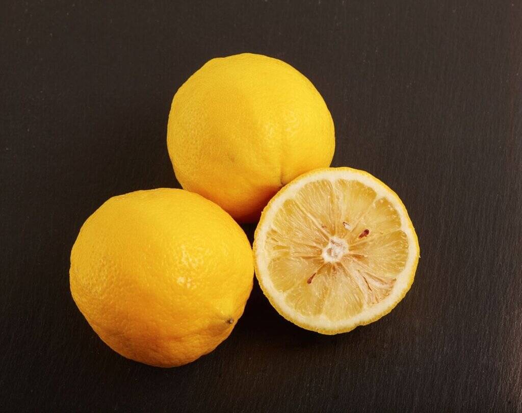 Fragrance Notes Explained: A Guide to Every Scent Note Bergamot — fresh fragrance family