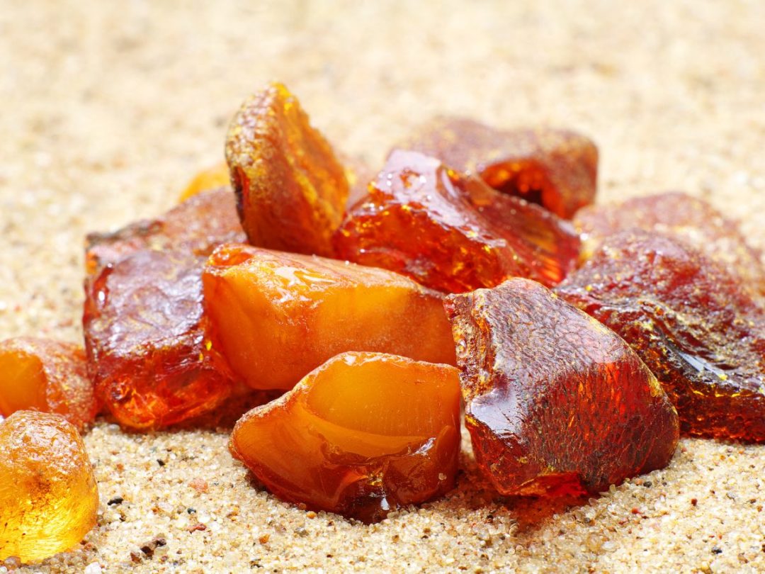 What Does Amber Smell Like? Everfumed The Art of Fragrance