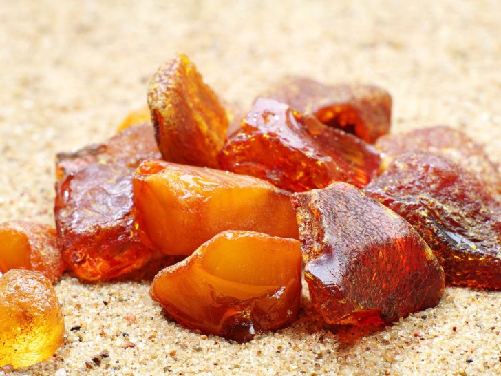 What Does Amber Smell Like? Everfumed Fragrance Shop