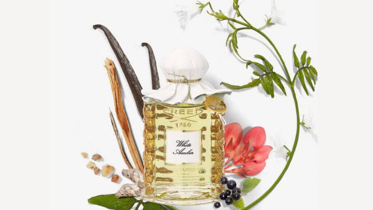 Creed White Amber - Best Amber Perfume Ever