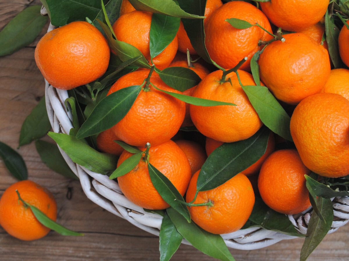 Marc-Antoine Barrois Ganymede EDP Review: Highly Distinctive mandarin oranges