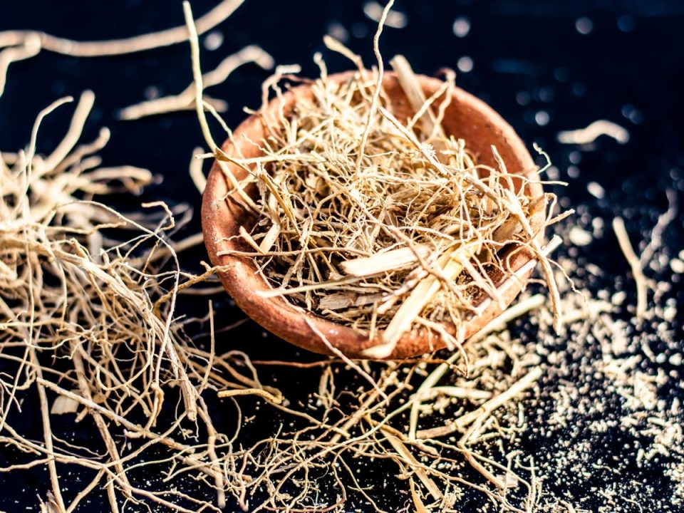 What Does Vetiver Smell Like? Everfumed Fragrance Shop