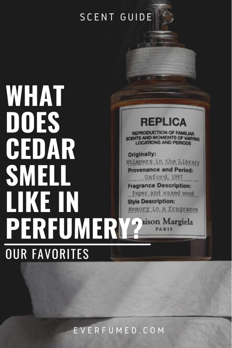 What Does Cedar Smell Like in Perfumery? Everfumed Fragrance Shop