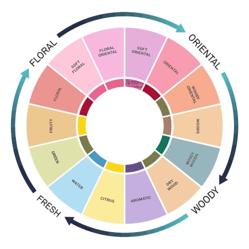 10 Best Smelling & Selling Men’s Cologne fragrance wheel infographic