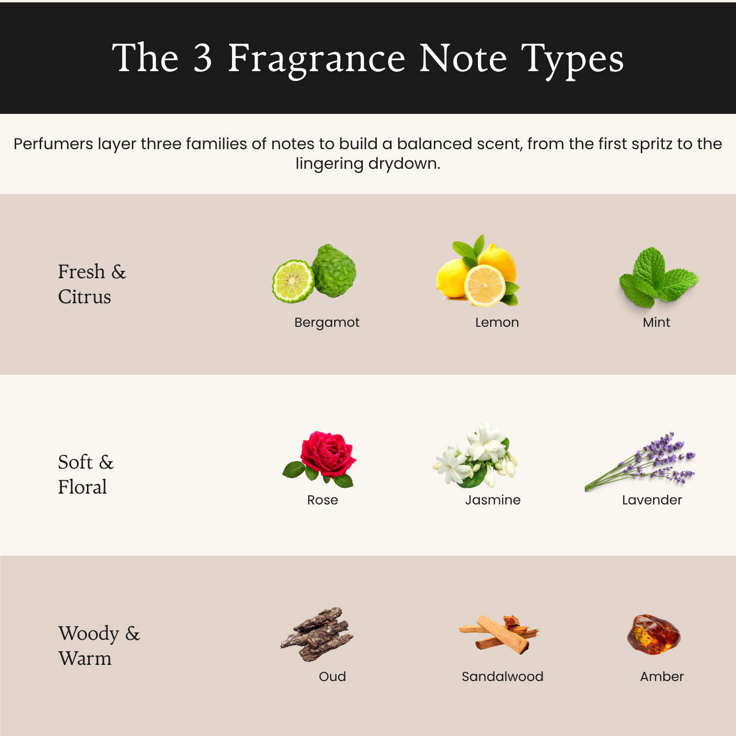 What Does Patchouli Smell Like? Infographic showing the three fragrance note types: fresh and citrus, soft and floral, woody and warm