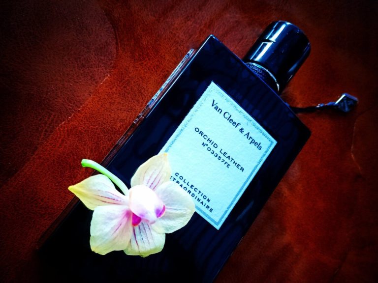 15 Best Party Fragrances Perfect for a Night Out