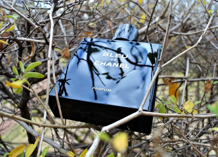 Versatile Scents: Best Everyday Cologne for Any Season