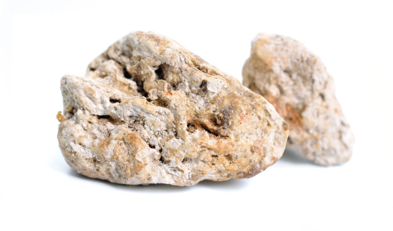 What Does Ambergris Smell Like? Salty, Marine and Animalic