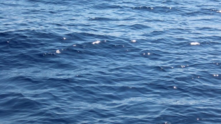 Sunlit ocean water surface, what do aquatic notes smell like