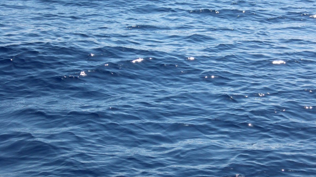 What Do Aquatic Notes Smell Like? Sunlit ocean water surface, what do aquatic notes smell like