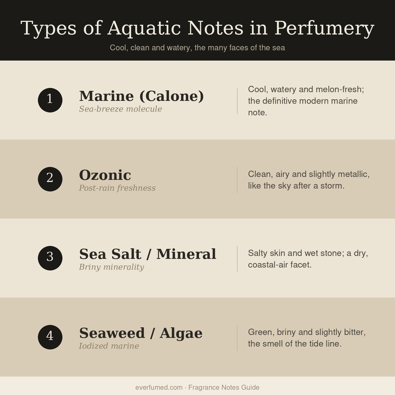 What Do Aquatic Notes Smell Like? Types of aquatic notes in perfumery: marine, ozonic, sea salt and seaweed