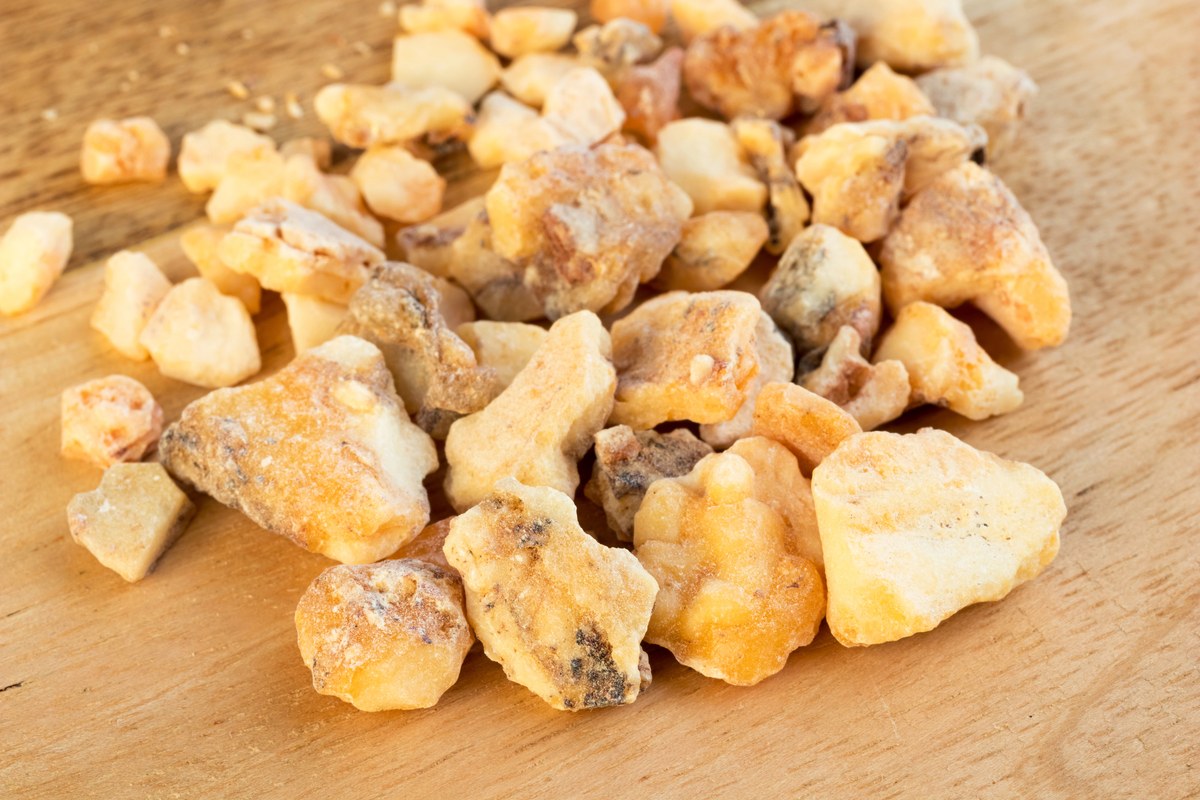 What Does Benzoin Smell Like? A pile of golden benzoin resin tears from the styrax tree