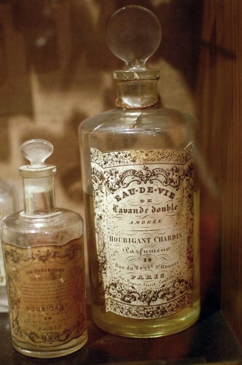 The History of Men’s Fragrance The History of Men’s Fragrance
