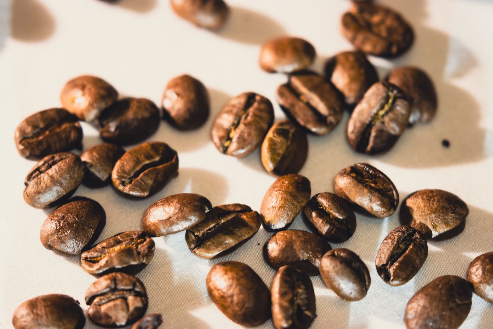 What Does Coffee Smell Like? Roasted coffee beans