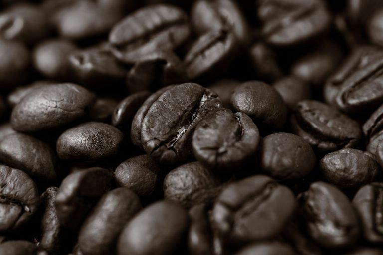 Roasted coffee beans close-up