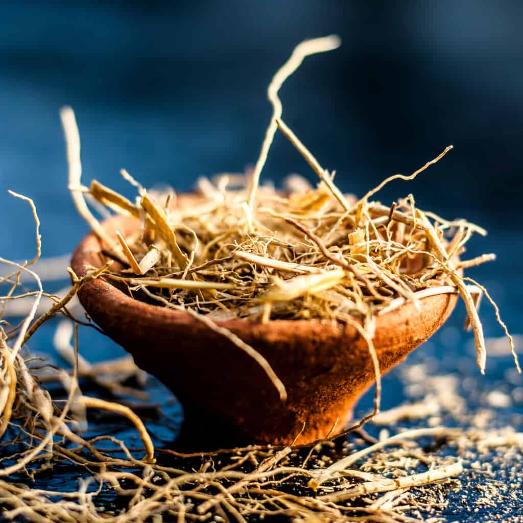 What Does Vetiver Smell Like? The Ultimate Guide Vetiver