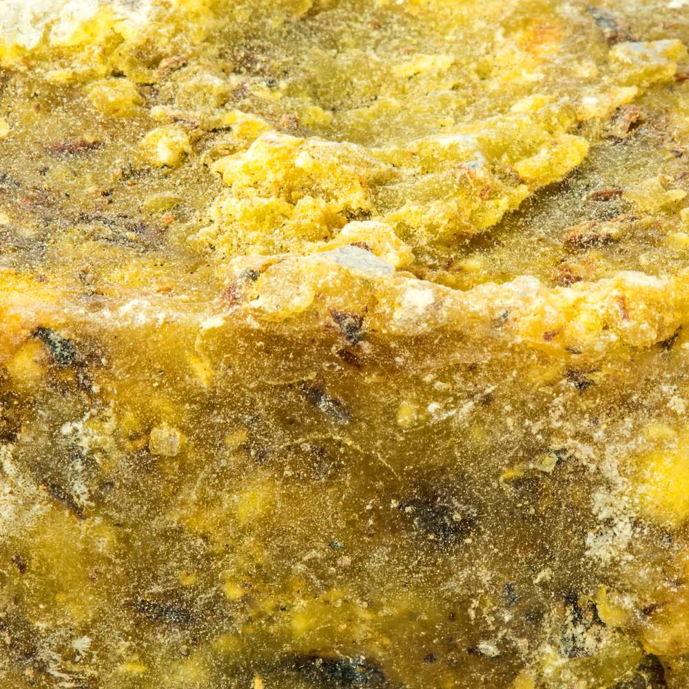 What Does Elemi Smell Like? Close-up of elemi resin texture from the Canarium luzonicum tree