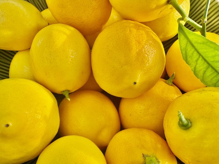 Fresh lemons with a green leaf