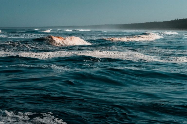 Calm blue sea under daylight