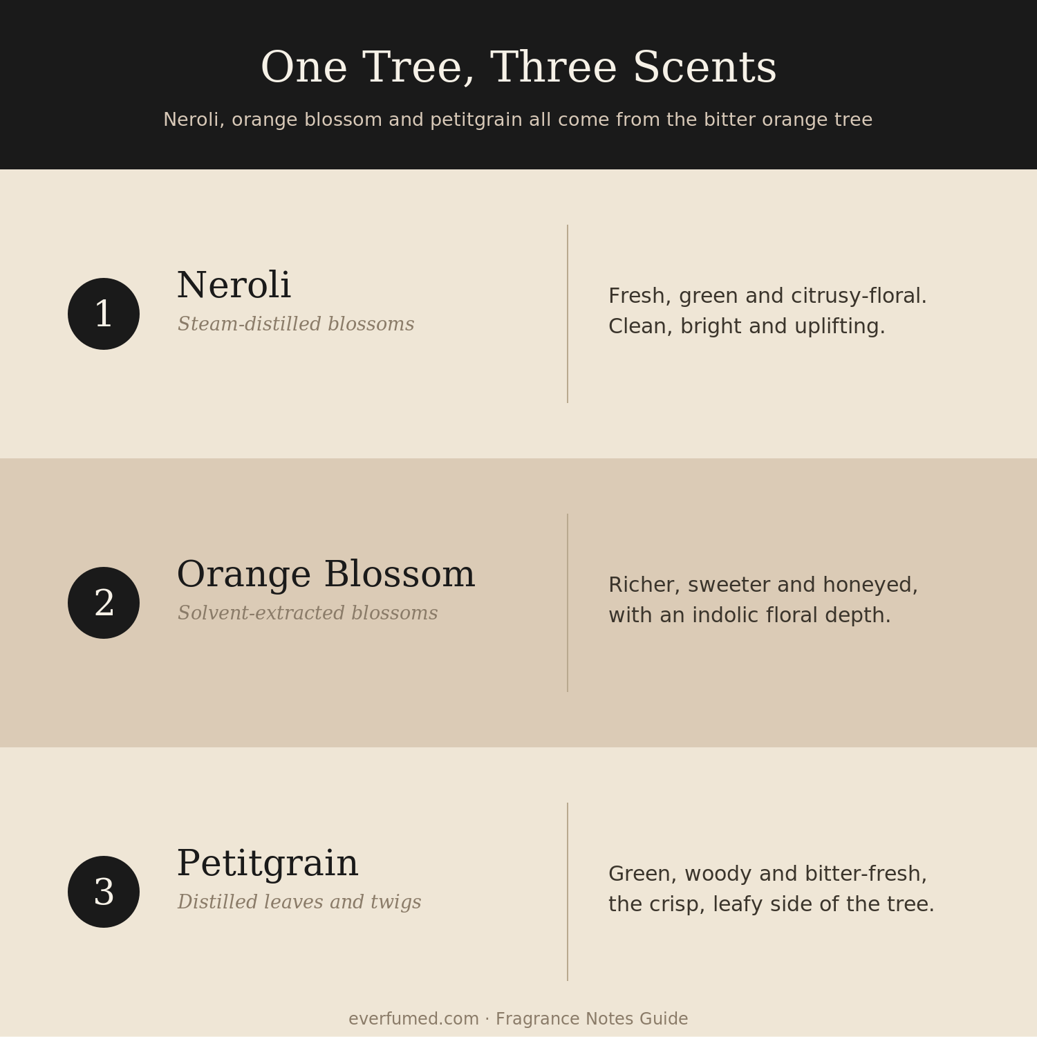 What Does Neroli Smell Like? Fresh, Floral & Citrusy One tree, three scents: neroli, orange blossom and petitgrain