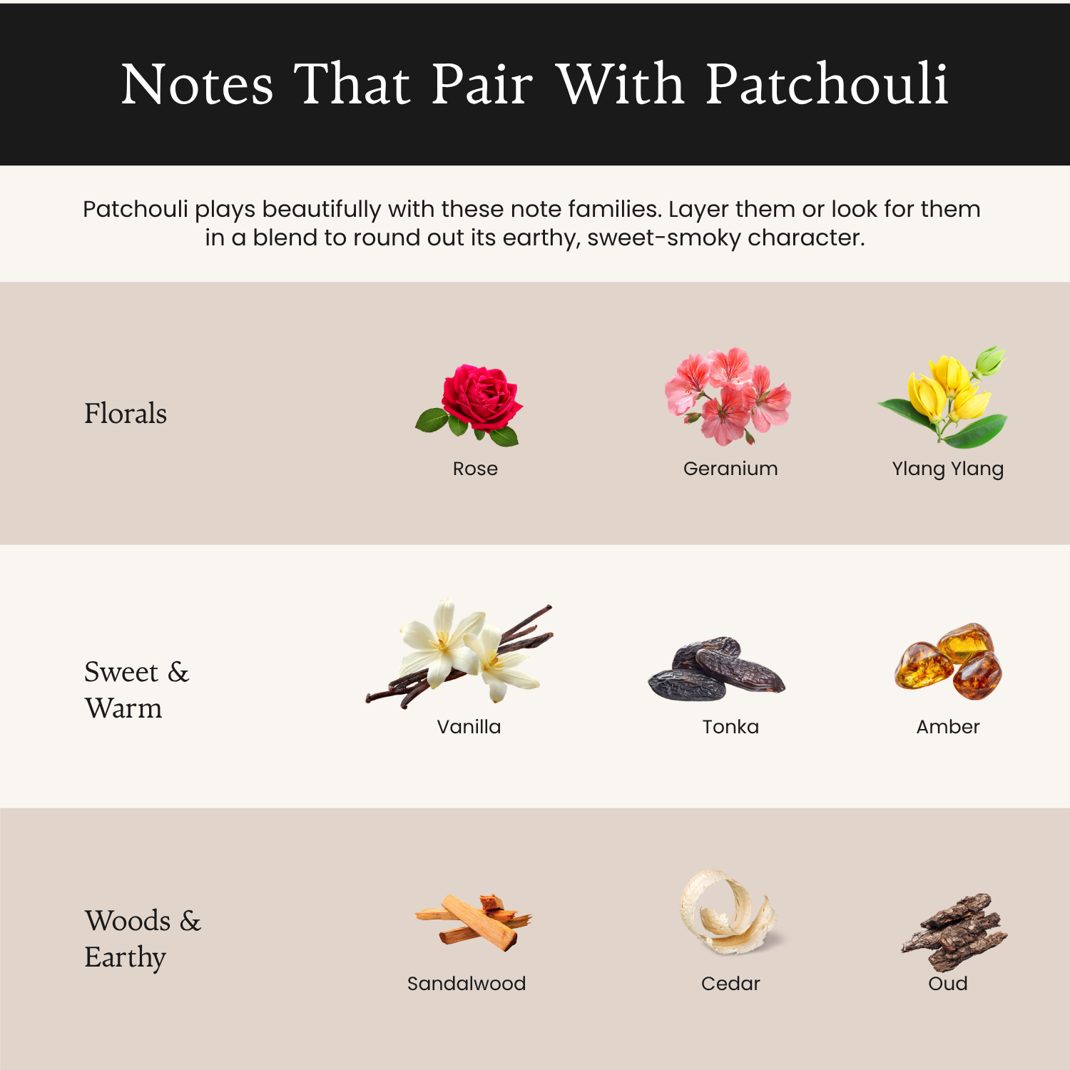 What Does Patchouli Smell Like? Infographic of notes that pair with patchouli: florals, sweet and warm notes, and woods