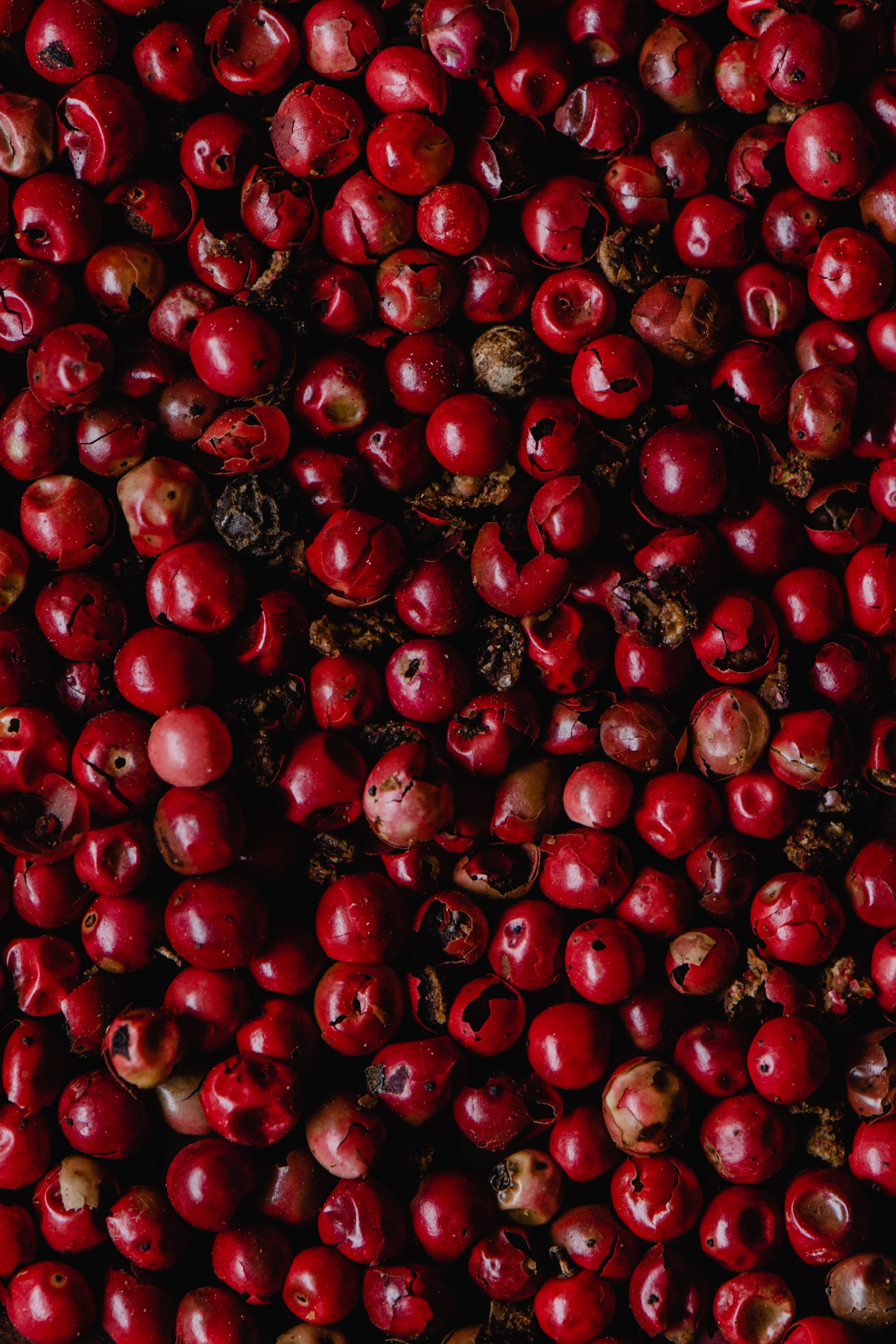 What Does Pink Pepper Smell Like? Sparkling, Rosy & Fresh Pink peppercorns on a wooden spoon, the sparkling rosy-fruity berry used in perfumery