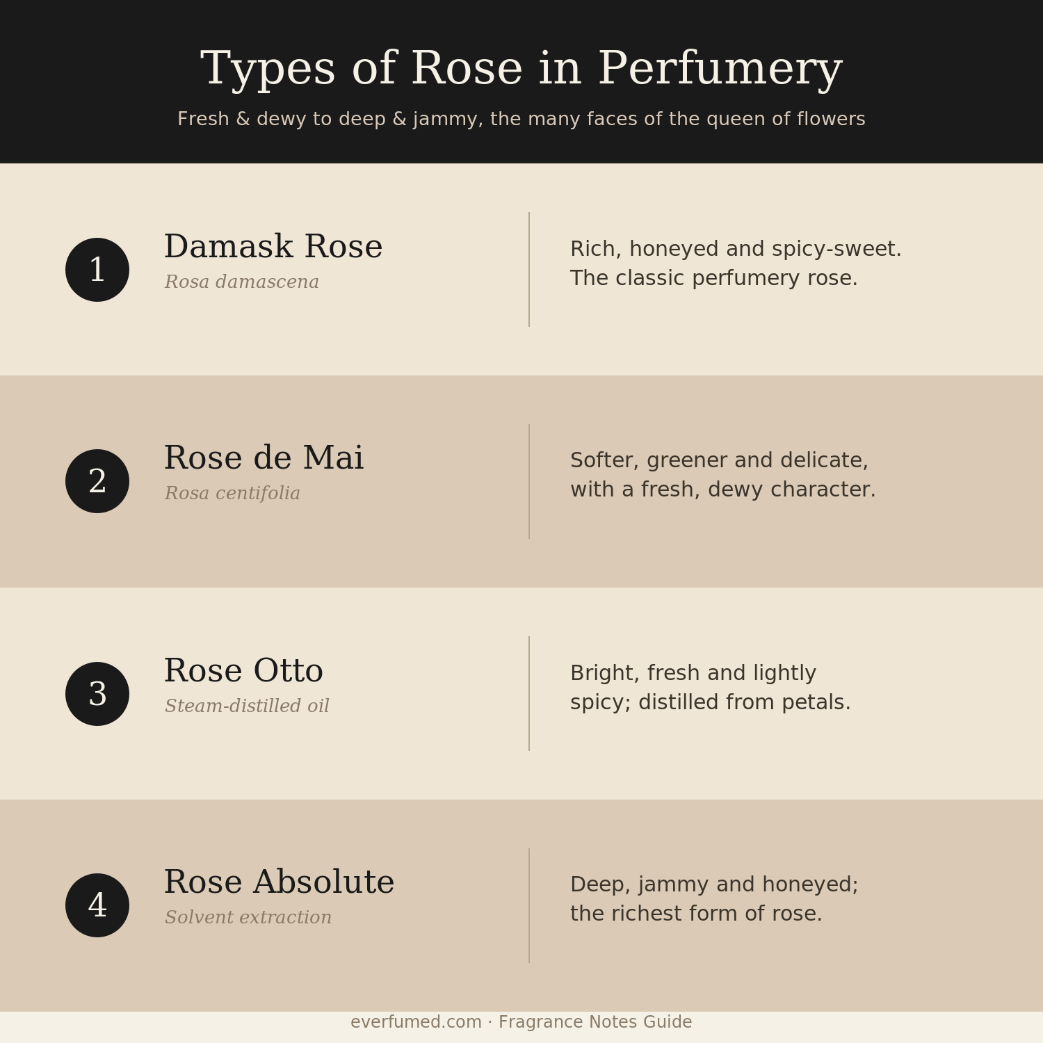 What Does Rose Smell Like? Romantic, Fresh & Timeless Types of rose in perfumery: Damask, Rose de Mai, Rose Otto, Rose Absolute