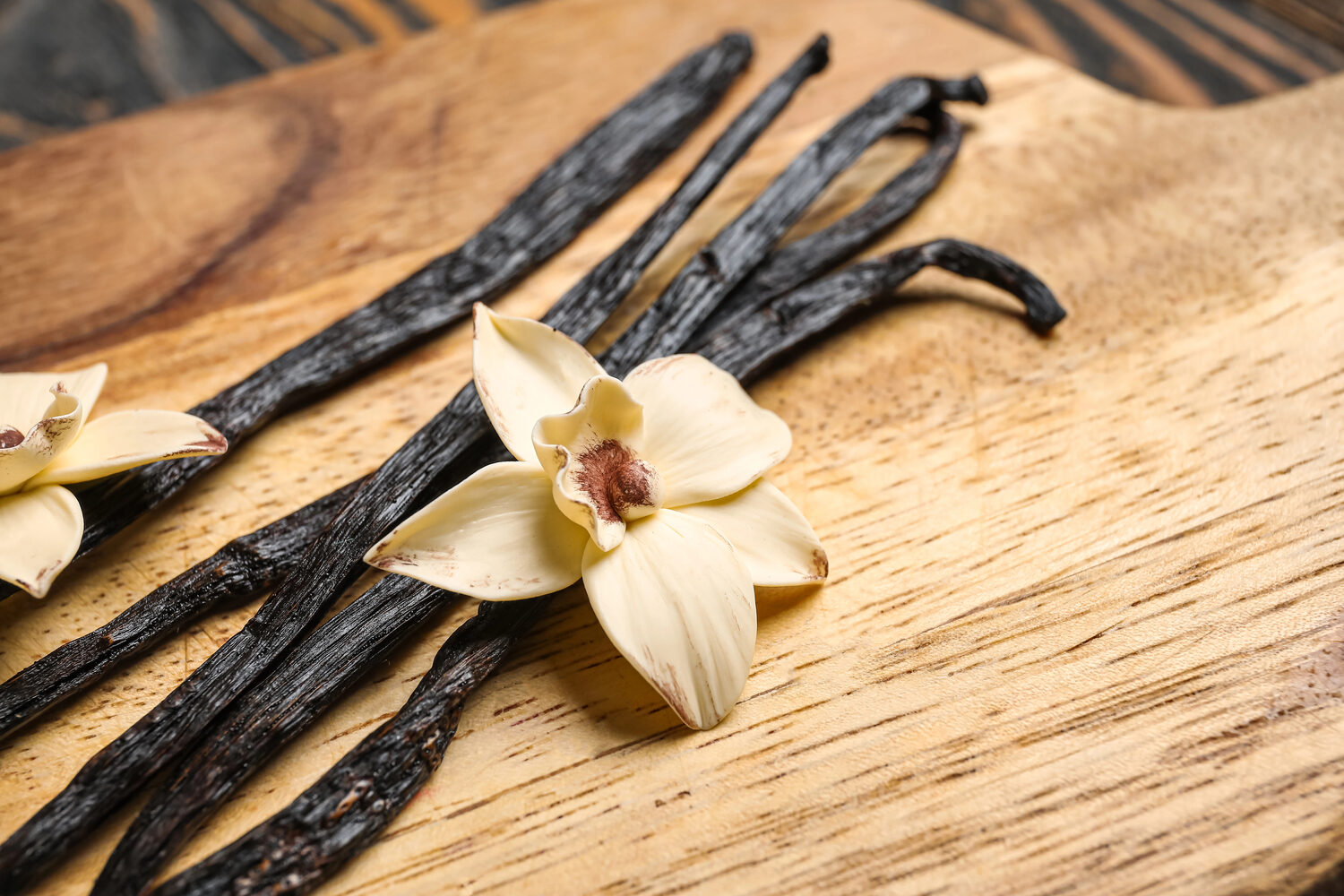 What Does Vanilla Smell Like? Warm, Sweet and Creamy What Does Vanilla Smell Like? Warm, Sweet and Creamy