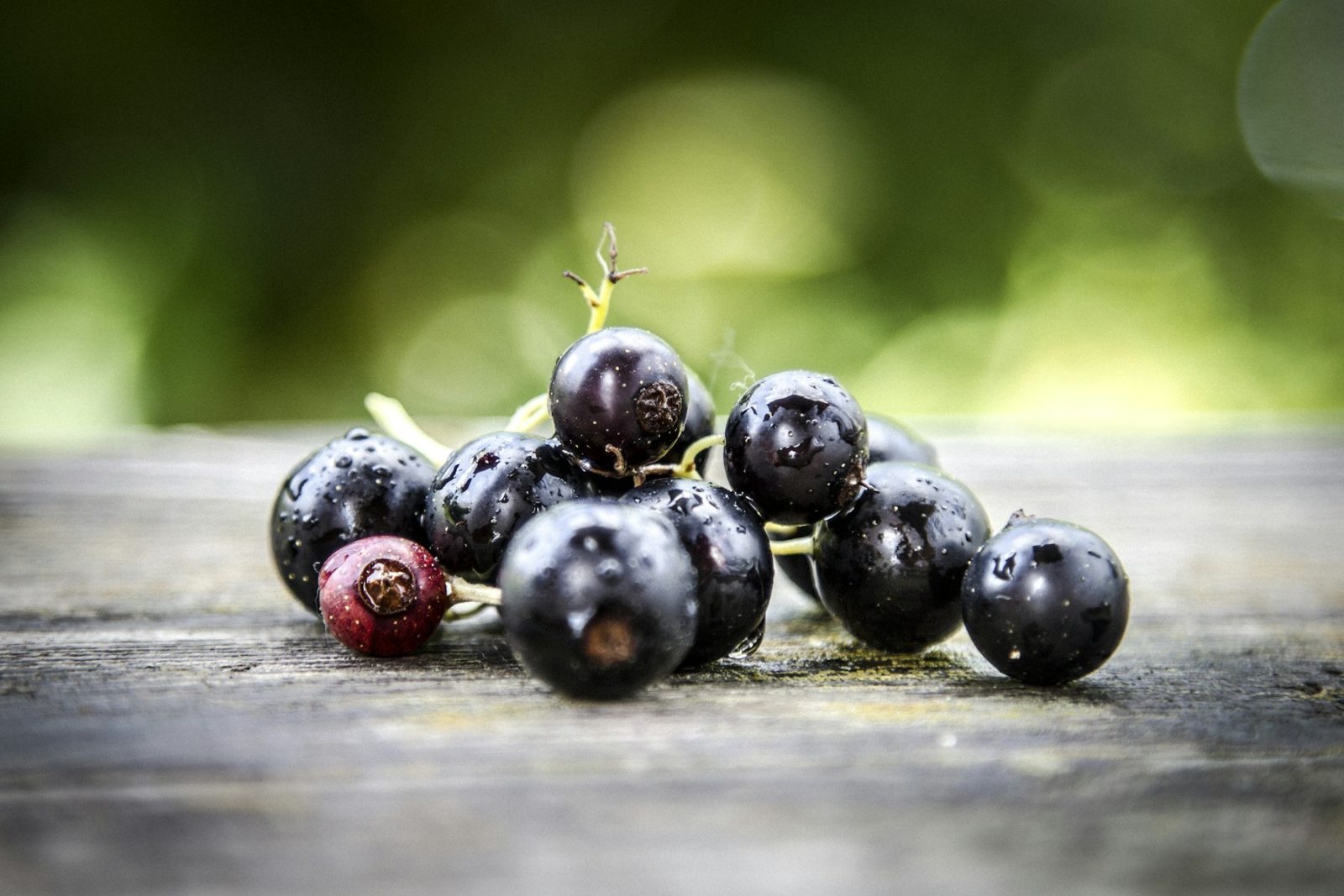 Fruity Fragrance Family: Notes, Scent Profile & History Blackcurrants beaded with dew on a dark ground, the source of the tart, sulphurous cassis note
