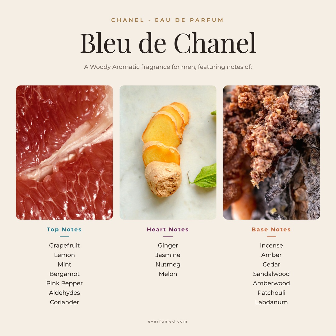 Bleu de Chanel EDT vs EDP vs Parfum: Full Comparison Bleu de Chanel Eau de Parfum fragrance notes chart: grapefruit, lemon, mint and bergamot top notes; ginger, jasmine and nutmeg heart; base of incense, amber, cedar, sandalwood and amberwood