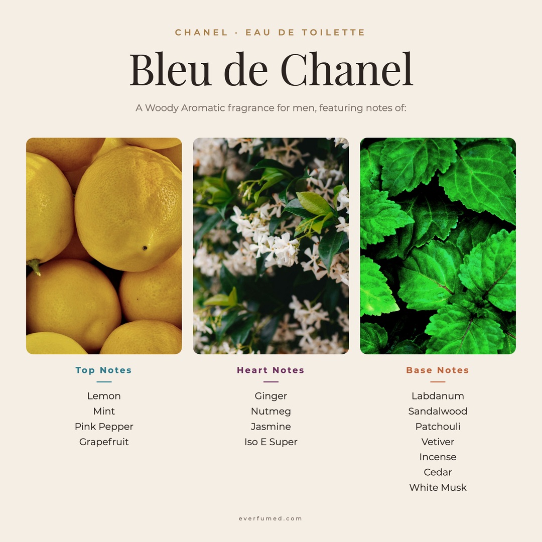Bleu de Chanel EDT vs EDP vs Parfum: Full Comparison Bleu de Chanel Eau de Toilette fragrance notes chart: lemon, mint, pink pepper and grapefruit top notes; ginger, nutmeg and jasmine heart; woody base of labdanum, sandalwood, patchouli, vetiver, incense and cedar