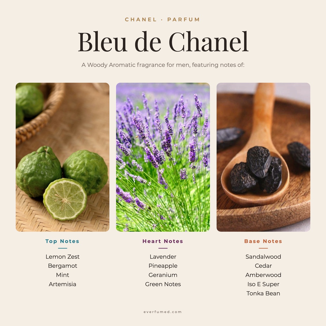 Bleu de Chanel EDT vs EDP vs Parfum: Full Comparison Bleu de Chanel Parfum fragrance notes chart: lemon zest, bergamot, mint and artemisia top notes; lavender, geranium and pineapple heart; base of sandalwood, cedar, amberwood and tonka bean