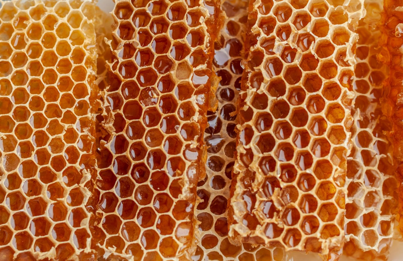 What Does Honey Smell Like? Close crop of wax honeycomb heavy with amber honey