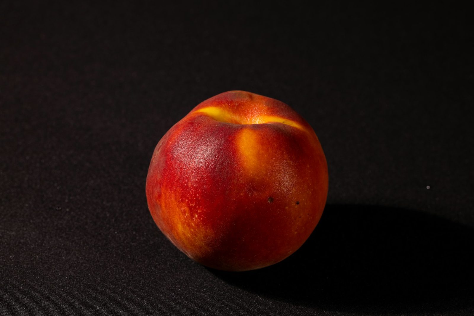 What Does Peach Smell Like? A single ripe peach against a dark ground, its skin showing the velvety bloom that gives the note its character