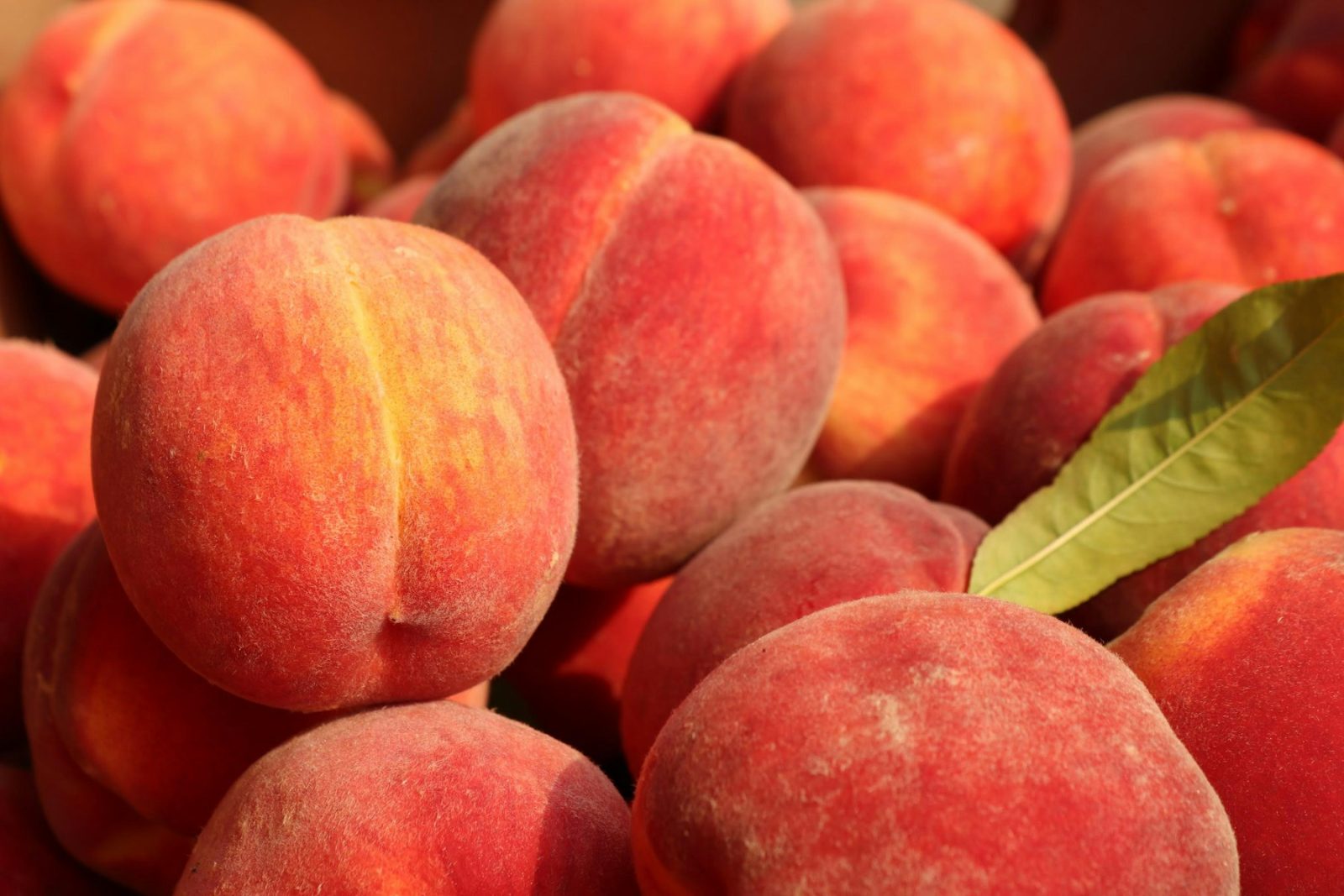 Fruity Fragrance Family: Notes, Scent Profile & History Ripe peaches packed in a wooden crate, the stone-fruit character at the heart of the fruity fragrance family
